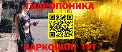 гидра Тверь