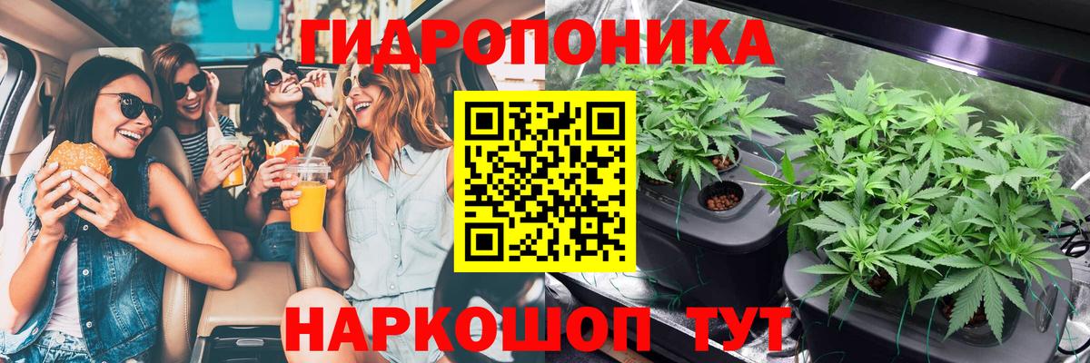 Каннабис AK-47  Шишки марихуана конопля  Вход с VPN  Каннабис семена  Вышний Волочёк  Бошки Шишки Amnesia 